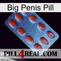 Big Penis Pill 06